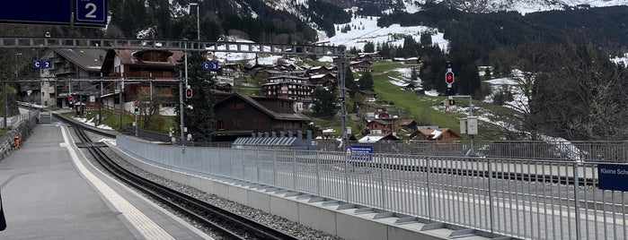 Bahnhof Wengen is one of Train Stations : Visited.