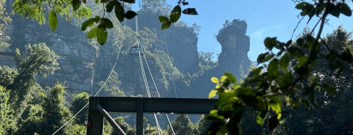 Scenic Cableway is one of Sydney.