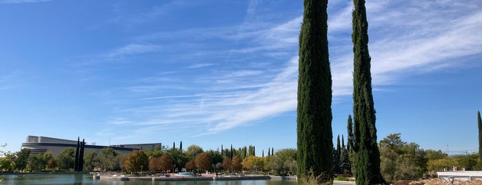 Parque Juan Carlos I is one of Los mejores lugares para hacer deporte en Madrid.