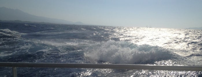 Ferry Kos (Greece) - Bodrum (Turkey) is one of Posti che sono piaciuti a FENERBAHÇE.