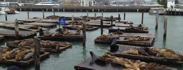 San Francisco Bay Ferry Pier 41 Terminal is one of SF Trip 2016 🌉.