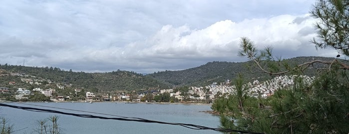 Zeytinlikuyu Plajı is one of Lugares guardados de Meltem.