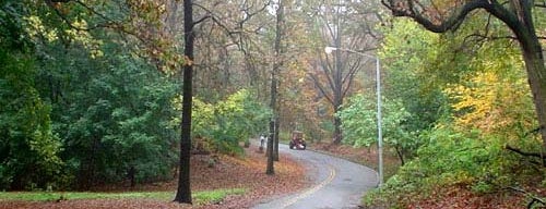 Forest Park is one of สถานที่ที่บันทึกไว้ของ Yannovich.
