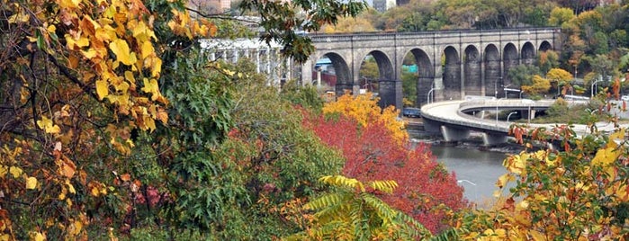 Highbridge Park is one of NYC.