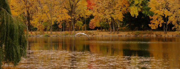 Van Cortlandt Park is one of Fall Foliage in NYC Parks.
