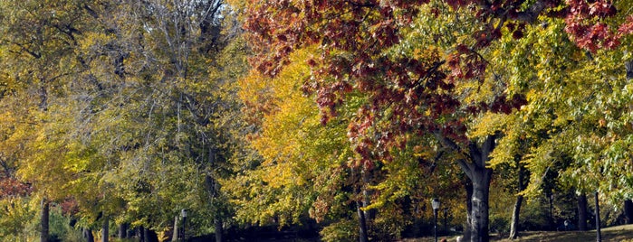 Kissena Park is one of Fall Foliage in NYC Parks.