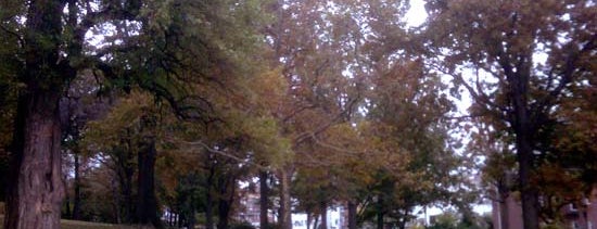 Owl's Head Park is one of Fall Foliage in NYC Parks.