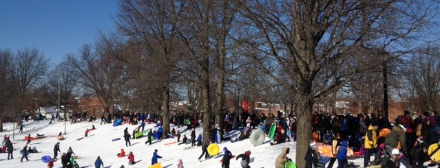 Best Sledding Hills in NYC Parks