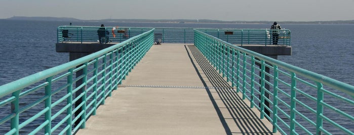 Lemon Creek Park is one of The Most Spectactular Views of NYC.