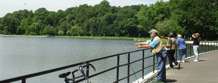 Go Fish: Best Fishing Spots in NYC