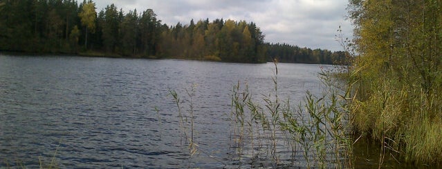 Малое Кирилловское озеро is one of Виталийさんのお気に入りスポット.