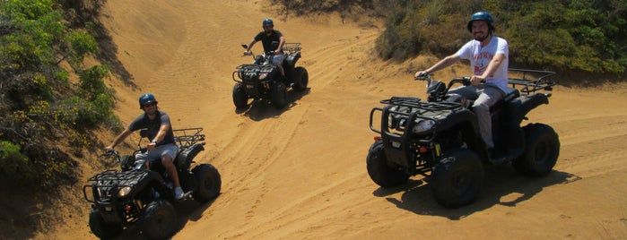 Zebra Atv Safari is one of ist dışı.