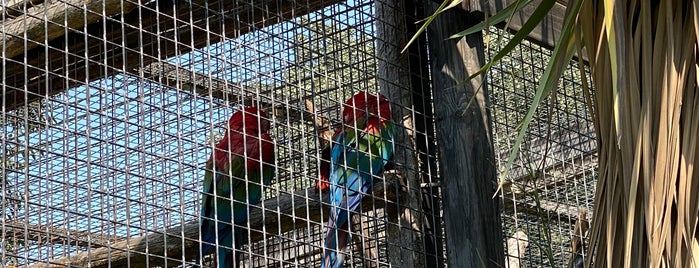 Zoo de la Barben is one of Parcs animaliers.
