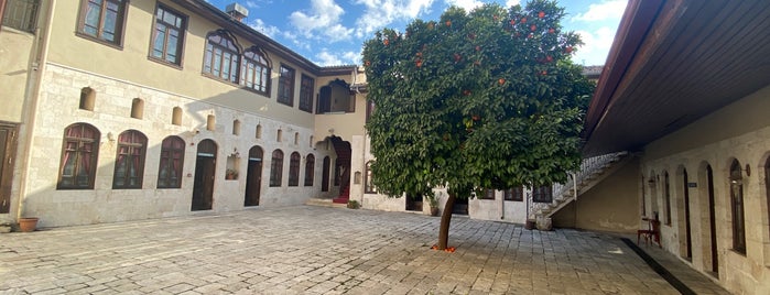 Hatay Tıbbi ve Aromatik Bitkiler Müzesi is one of Tatil.