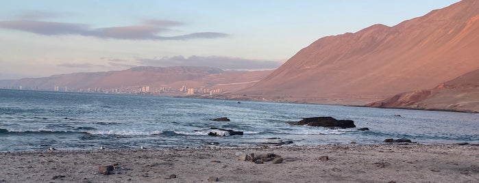 Playa Blanca is one of Best places in Iquique, Chile.