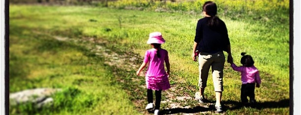 Coyote Creek Trail - Eucalyptus Rest Area is one of Home.