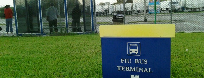 FIU Bus Terminal is one of Locations Discovered.