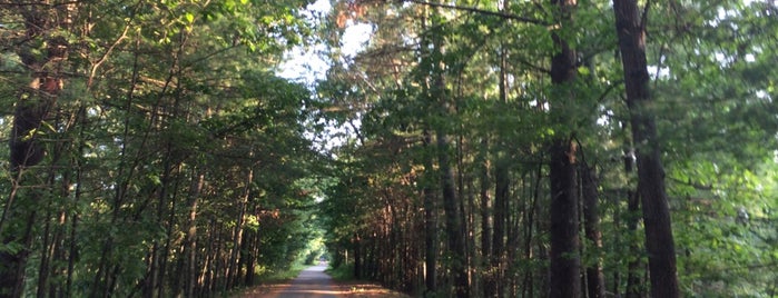 Nashua River Rail Trail is one of Best kept secrets.