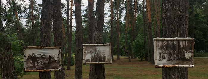 Мемориальный комплекс «Партизанская поляна» is one of мой.