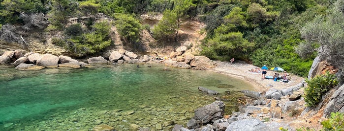 Paliouri Beach is one of 🌞🌊Chalkidiki-->to The Beach 🐋🐬🐟🐠🐡🦀.