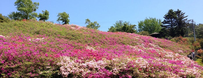 Komuroyama Park is one of 箱根伊豆.