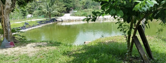 六古走地鸡 Liu Gu Village Chicken is one of Posti che sono piaciuti a Y.