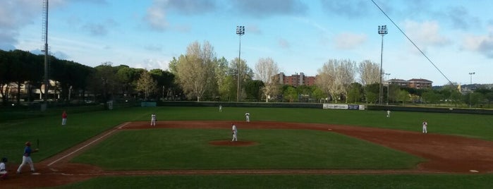 Baseball Pesaro is one of Sport a Pesaro: dove seguirlo e dove praticarlo.