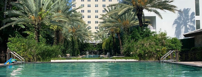 National Hotel Pool is one of Miami Music Week Nightlife.