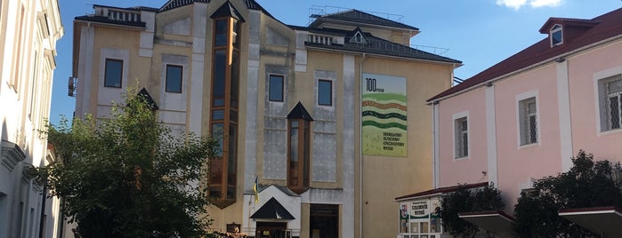 Вінницький обласний краєзнавчий музей is one of Вінниця.