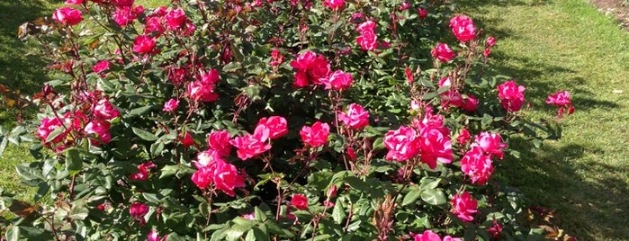 International Rose Test Garden is one of PDX.