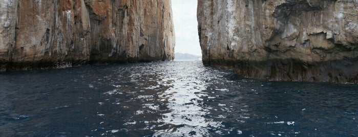 Kicker Rock (Sleeping Lion) is one of สถานที่ที่ Joel ถูกใจ.