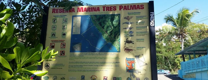 Surf Spot Tres Palmas is one of playas aroun the world.