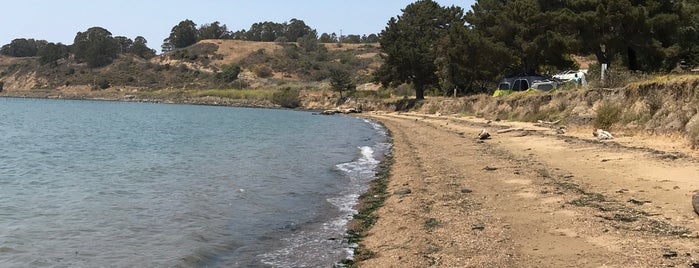 pt. molate beach park is one of E'nin Beğendiği Mekanlar.