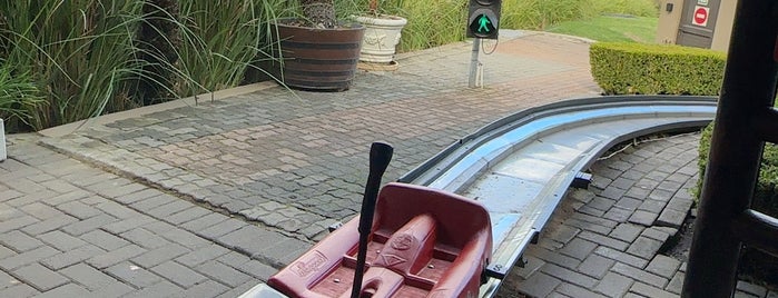 Cool Runnings Toboggan Track is one of South africa.