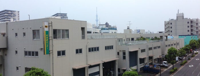 小松川さくらホール is one of 公営プール.