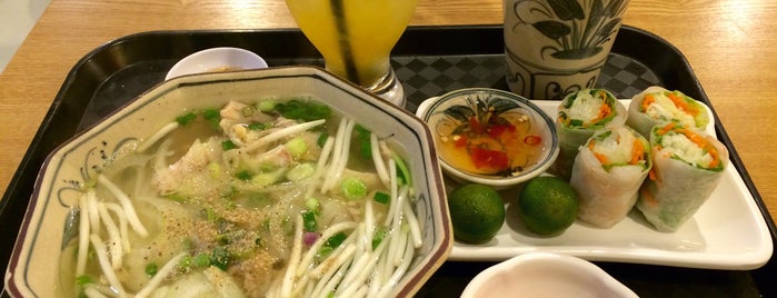 Tonkin Authentic Vietnamese Cuisine is one of Singapore.