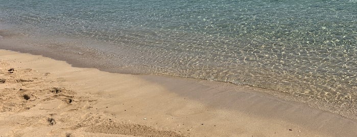 Sunrise Beach Club is one of Kıbrıs.