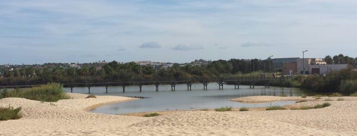 Reserva Natural dos Salgados is one of Algarve.