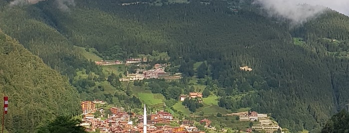 Sezgin Restaurant is one of Karadeniz.