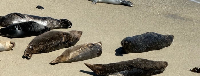 Seal Rocks is one of La Jolla.