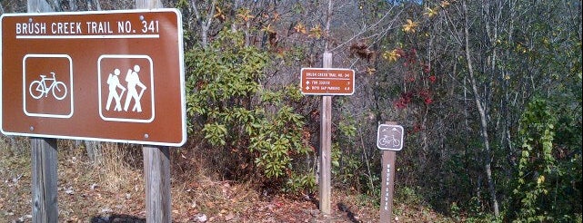 Brush Creek Trail 341 is one of Great Hiking in SE Tennessee.