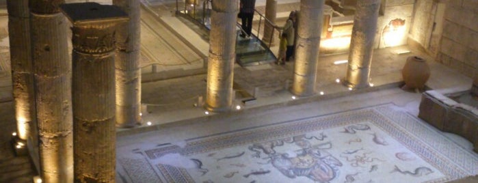 Zeugma Mosaic Museum is one of Gaziantep.