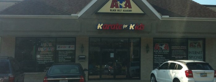 Mentor Karate for Kids is one of Best places in Mentor, OH.
