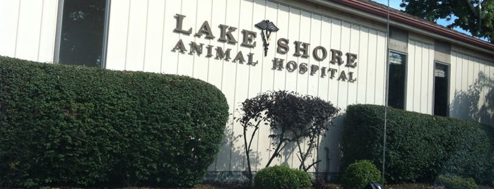 Lakeshore Animal Hospital is one of Places I go regularly.