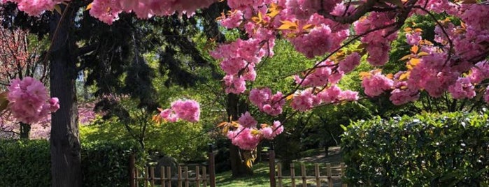 Japon Bahçesi is one of Tempat yang Disukai Aytek.