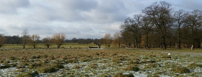 Richmond Park is one of 1000 Things To Do in London (pt 1).