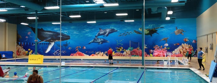 American Swim Academy (new building) is one of Emmas fun time.