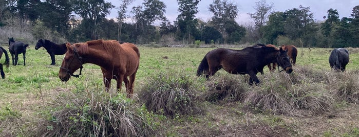 Parque Provincial Pereyra Iraola is one of El 5to A.