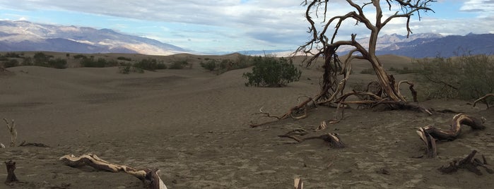 Death Valley National Park is one of Summer of Safety.