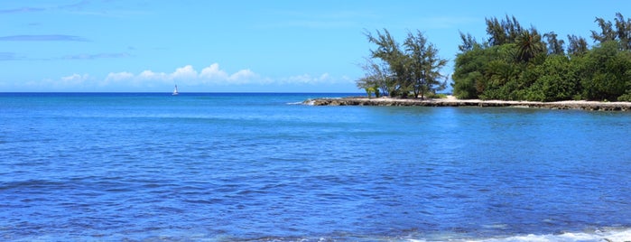 Haliewa Beach Town is one of Australia/Hawaii '20.
